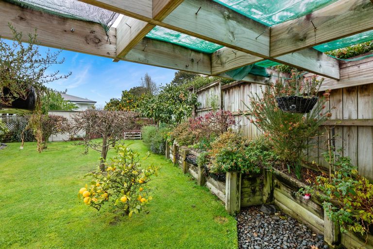Photo of property in 40 Willow Grove, Morrinsville, 3300