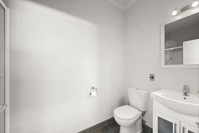 Photo of property in 47b Albert Street, Hamilton East, Hamilton, 3216