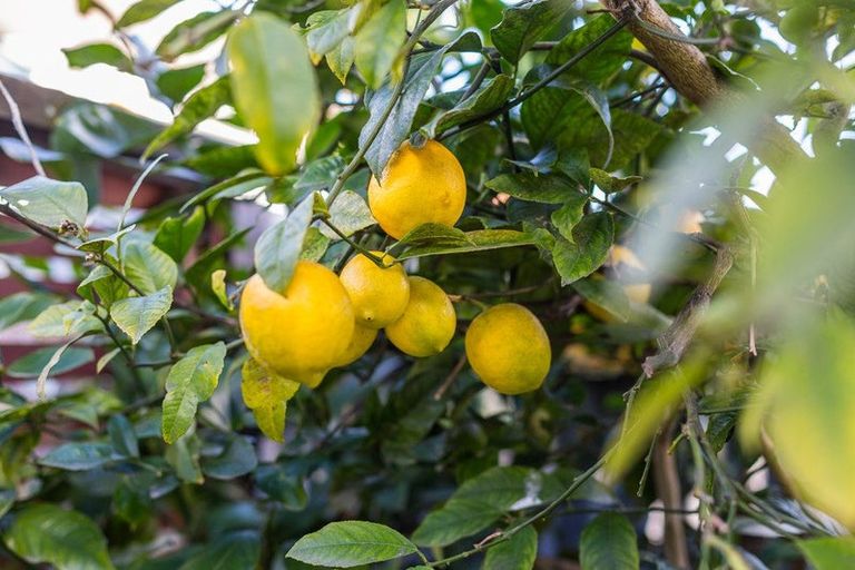 Photo of property in 121 Cambridge Terrace, Fairfield, Lower Hutt, 5011