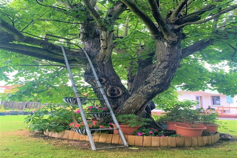 Photo of property in 76 Queen Street West, Levin, 5510