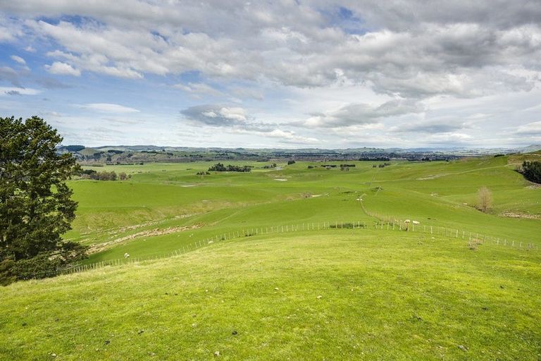 Photo of property in 210 Ongaonga Road, Waipawa, 4272
