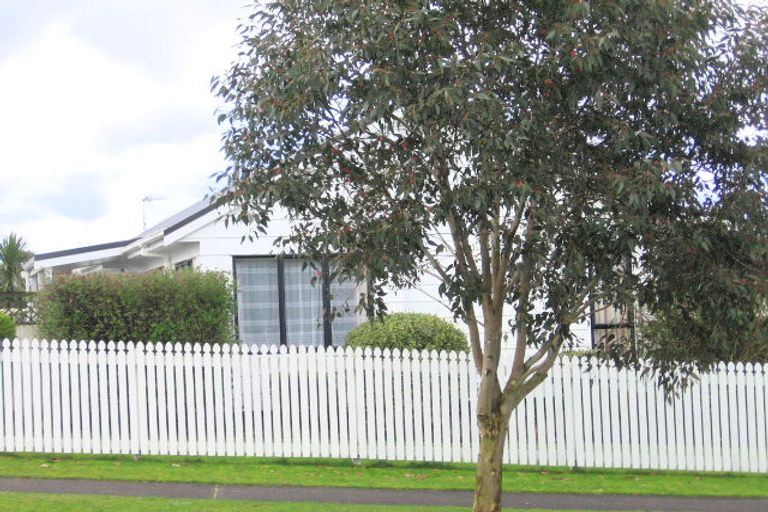 Photo of property in 20 Dixon Road, Fitzroy, Hamilton, 3206