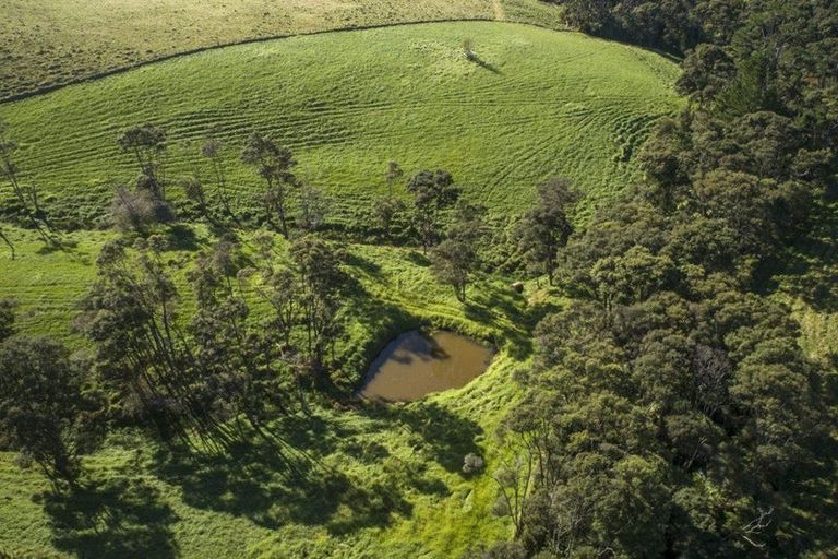 Photo of property in 167 Anderson Road, Helensville, 0875