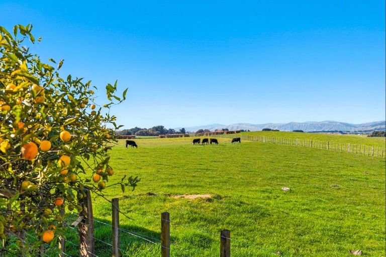 Photo of property in 208 Kukutauaki Road, Koputaroa, Levin, 5575