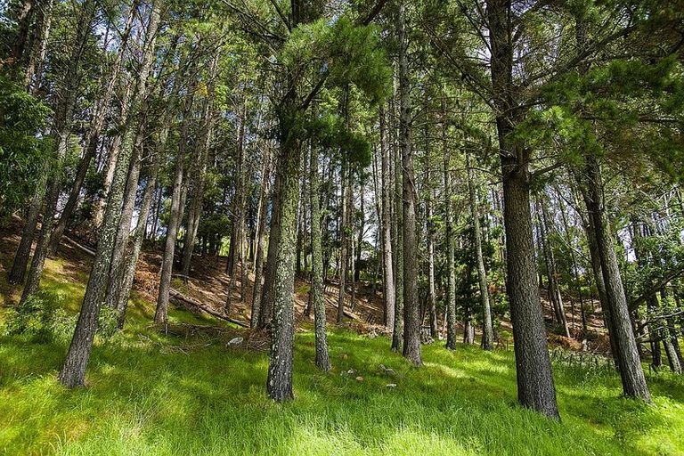 Photo of property in 162b Matokitoki Valley Road, Matokitoki, Gisborne, 4071