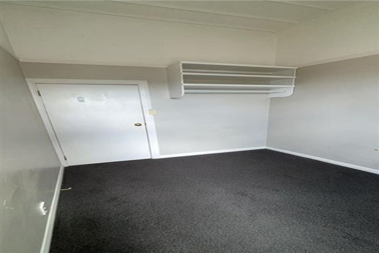 Photo of property in 21a Hargreaves Street, Mount Cook, Wellington, 6021