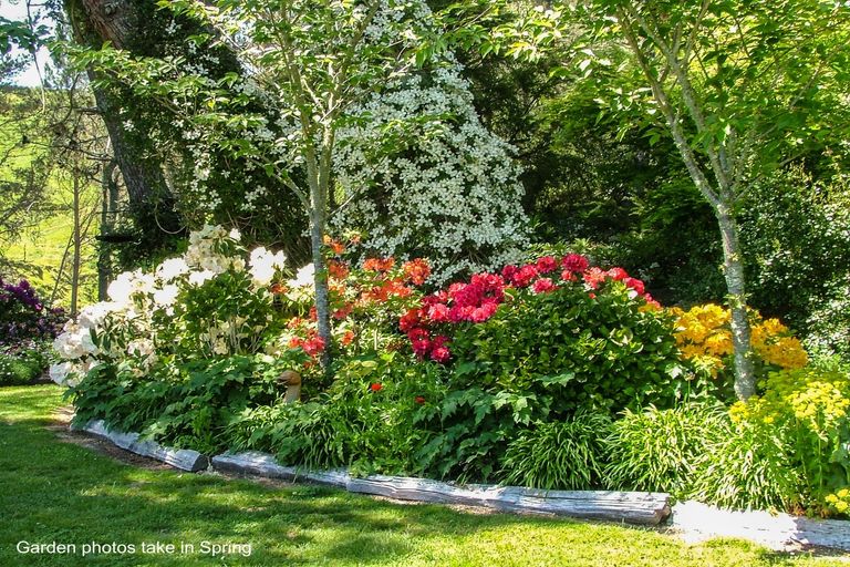 Photo of property in 529 Whangamata Road, Kinloch, Taupo, 3377