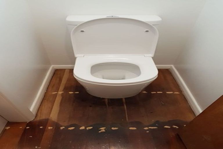 Photo of property in 19 Carlisle Street, Levin, 5510