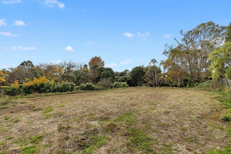 Photo of property in 29 Balloch Street, Fairfield, Hamilton, 3214