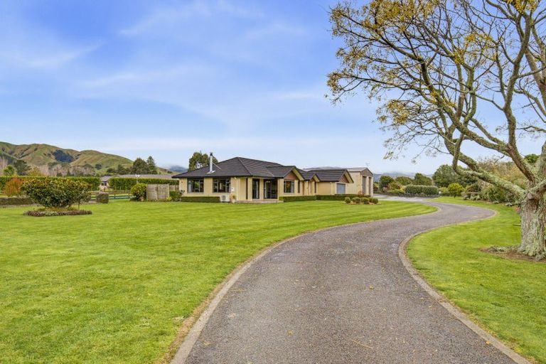 Photo of property in 53 Pohutukawa Drive, Levin, 5571