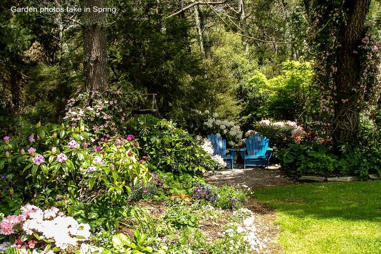 Photo of property in 529 Whangamata Road, Kinloch, Taupo, 3377