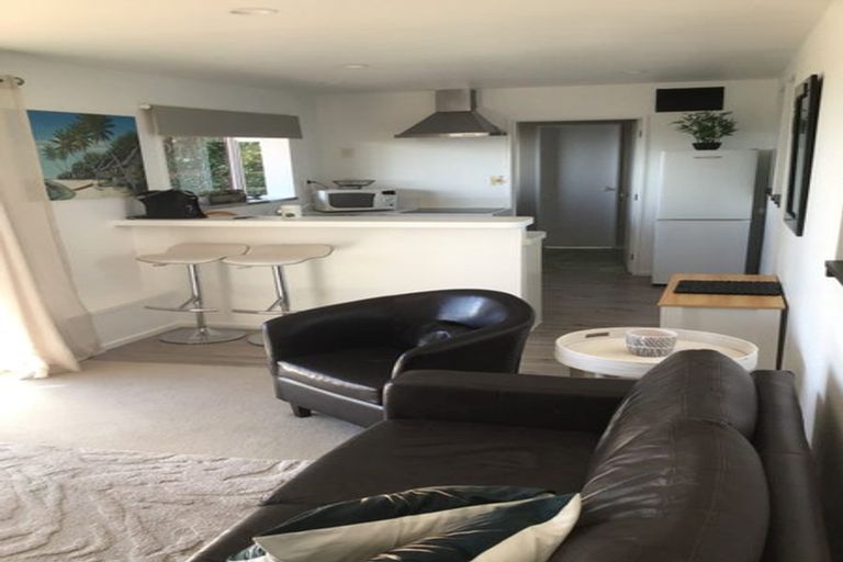 Photo of property in 17 Selleck Street, Mount Pleasant, Christchurch, 8081