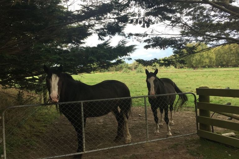 Photo of property in 36 Painua Road, Hokio Beach, Levin, 5571
