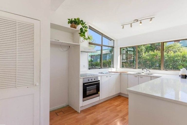 Photo of property in 25 Windmill Road, Mount Eden, Auckland, 1024