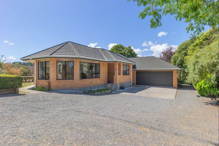 Photo of property in 223 Heatherlea East Road, Levin, 5571