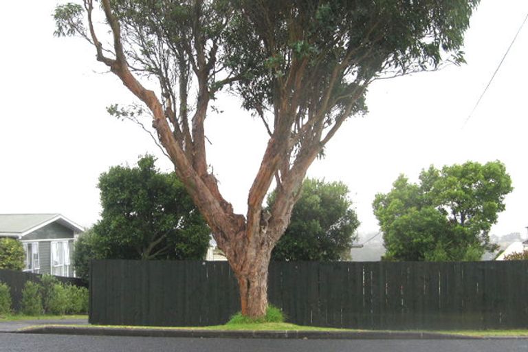 Photo of property in 110 Coronation Road, Hillcrest, Auckland, 0627