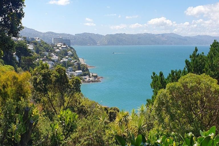 Photo of property in 151 Grafton Road, Roseneath, Wellington, 6011