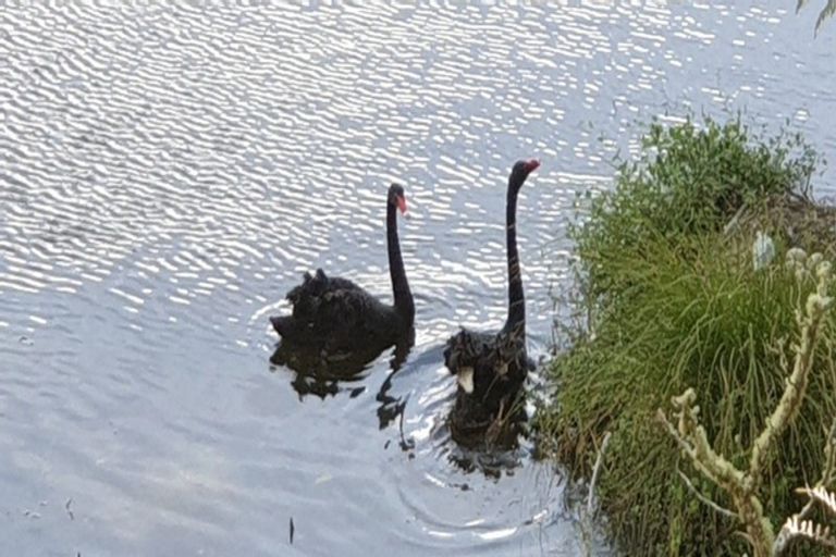 Photo of property in 766 Kaka Road, Okoki, Urenui, 4375