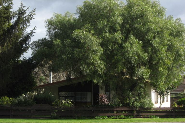 Photo of property in 117 Napier Road, Havelock North, 4130