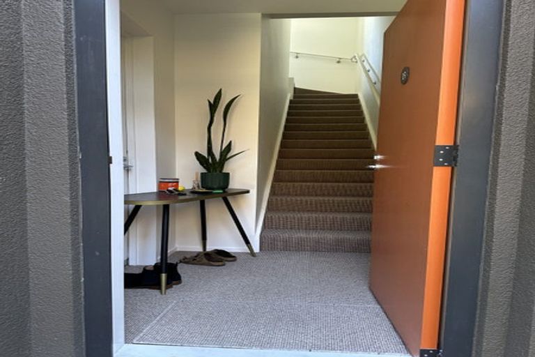 Photo of property in Aniva Terrace, 19 Arney Street, Newtown, Wellington, 6021