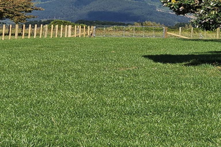 Photo of property in 147 Koputaroa Road, Levin, 5575