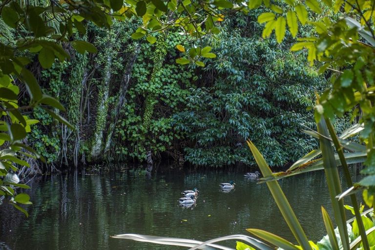 Photo of property in 19 Oceana Drive, Welcome Bay, Tauranga, 3175