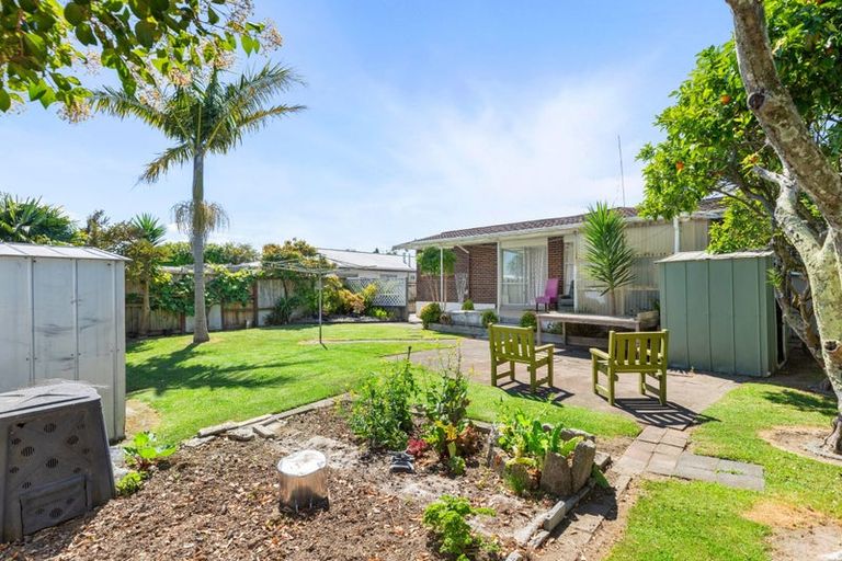 Photo of property in 127 Te Hono Street, Maungatapu, Tauranga, 3112