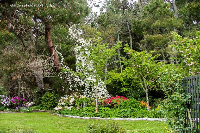 Photo of property in 529 Whangamata Road, Kinloch, Taupo, 3377