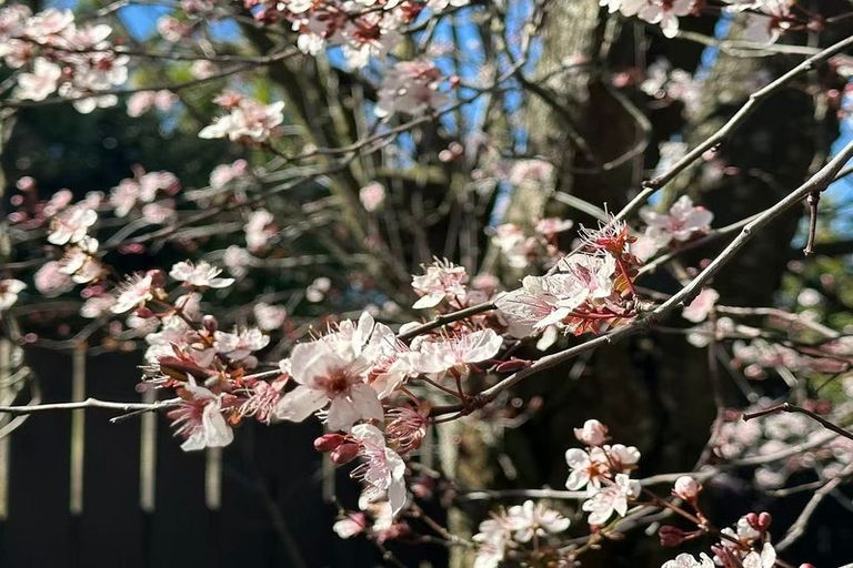 Photo of property in 63 Awamutu Grove, Waiwhetu, Lower Hutt, 5010