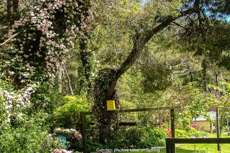 Photo of property in 529 Whangamata Road, Kinloch, Taupo, 3377