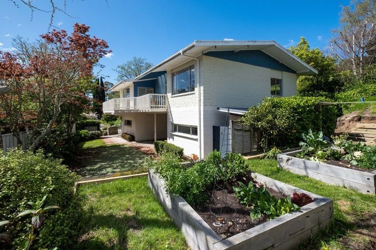 Photo of property in 64 Mchardy Street, Havelock North, 4130