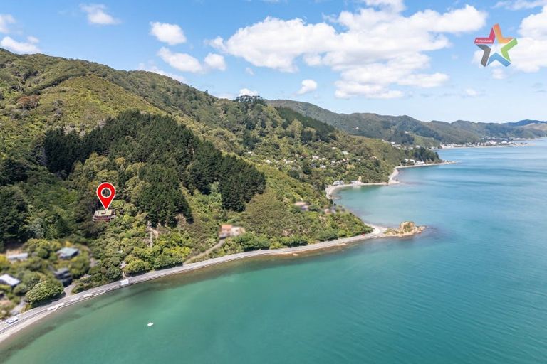 Photo of property in 321 Marine Drive, York Bay, Lower Hutt, 5013
