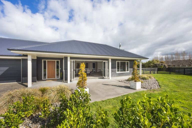 Photo of property in 75 Reid Line West, Feilding, 4777