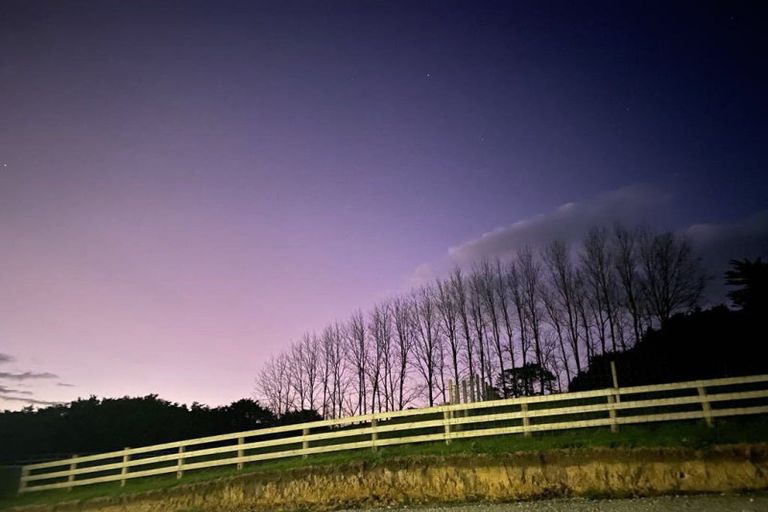 Photo of property in 124 Devich Road, Mangawhai, Wellsford, 0975