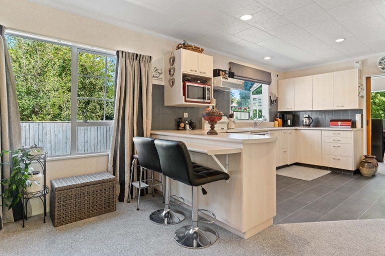 Photo of property in 45a Essex Street, Masterton, 5810