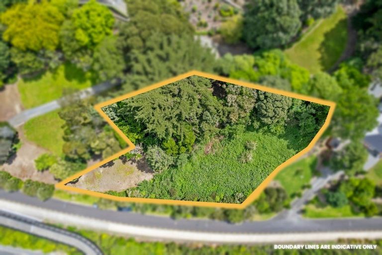 Photo of property in 43 Rongomau Lane, Raumati South, Paraparaumu, 5032