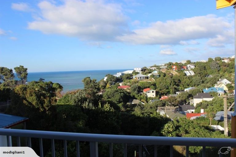 Photo of property in 19 Milne Terrace, Island Bay, Wellington, 6023