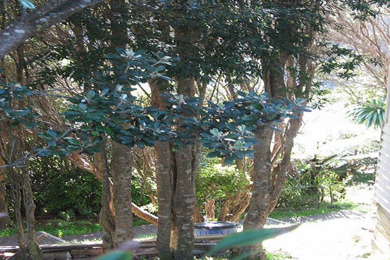 Photo of property in 10 Trelissick Crescent, Ngaio, Wellington, 6035