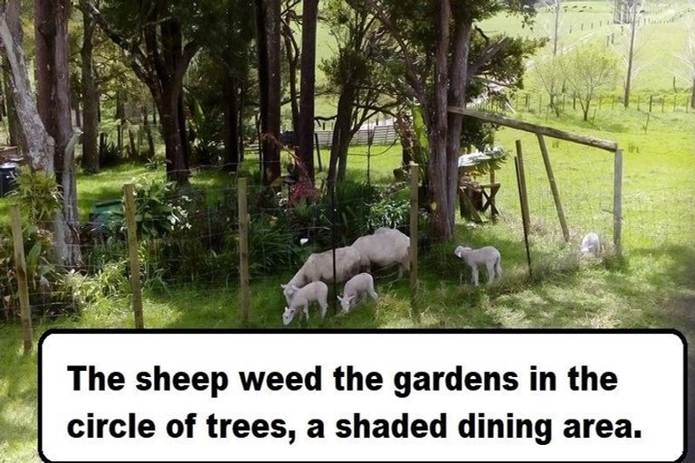 Photo of property in 548 Matarau Road, Ruatangata West, Kamo, 0185