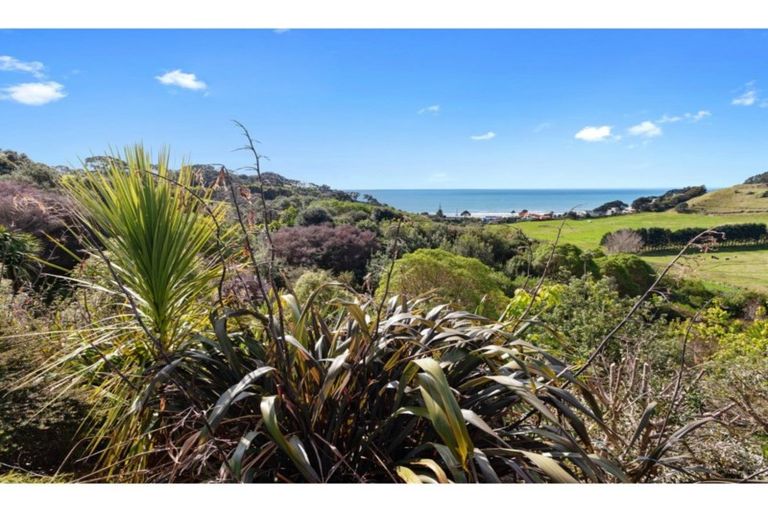 Photo of property in 72 Thompson Road, Waiotahe, Opotiki, 3198