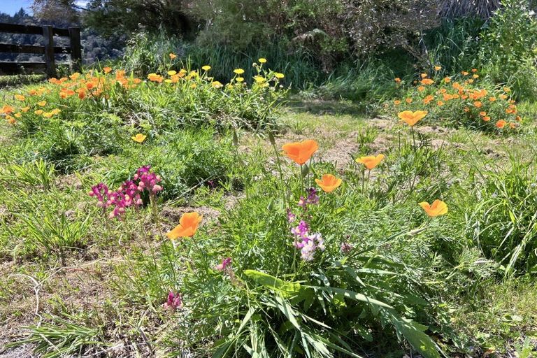 Photo of property in 1124b Wainui Road, Wainui, Opotiki, 3198