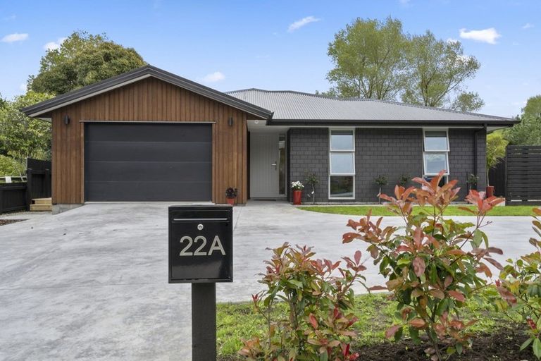 Photo of property in 22a Heaphy Street, Richmond, 7020