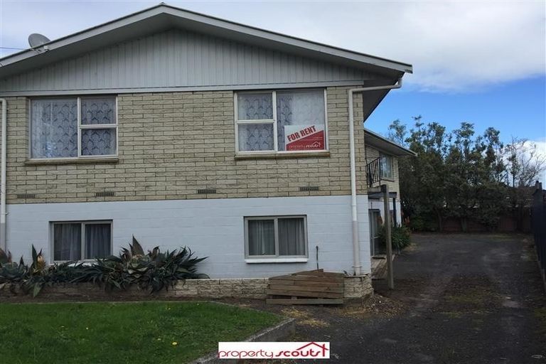 Photo of property in 119 Hukanui Road, Chartwell, Hamilton, 3210
