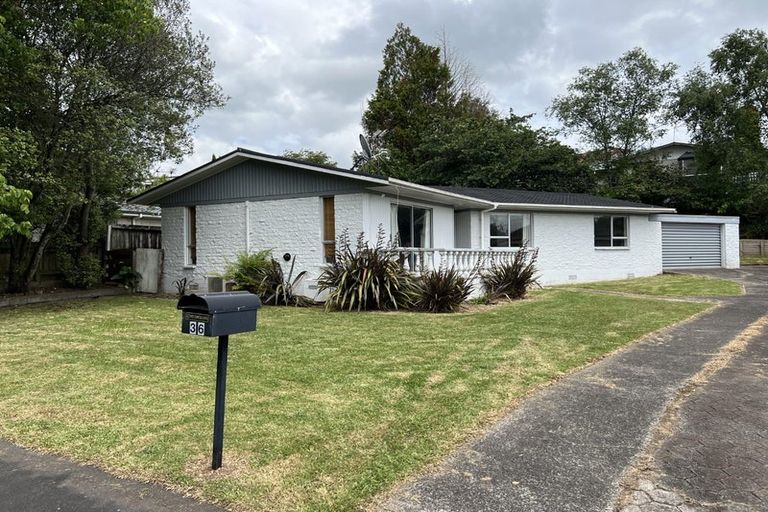 Photo of property in 36 Hazelwood Avenue, Dinsdale, Hamilton, 3204