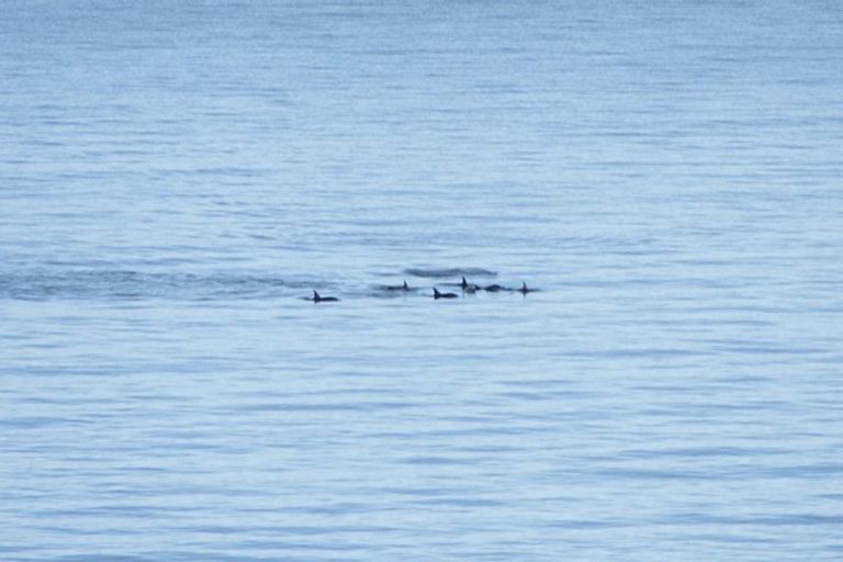 Photo of property in 19 The Crescent, Raumati South, Paraparaumu, 5032