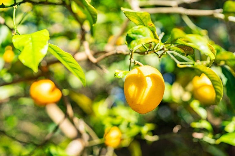 Photo of property in 12 Whangarei Heads Road, Onerahi, Whangarei, 0110