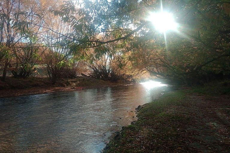 Photo of property in 633 Ardgour Road, Tarras, Cromwell, 9383