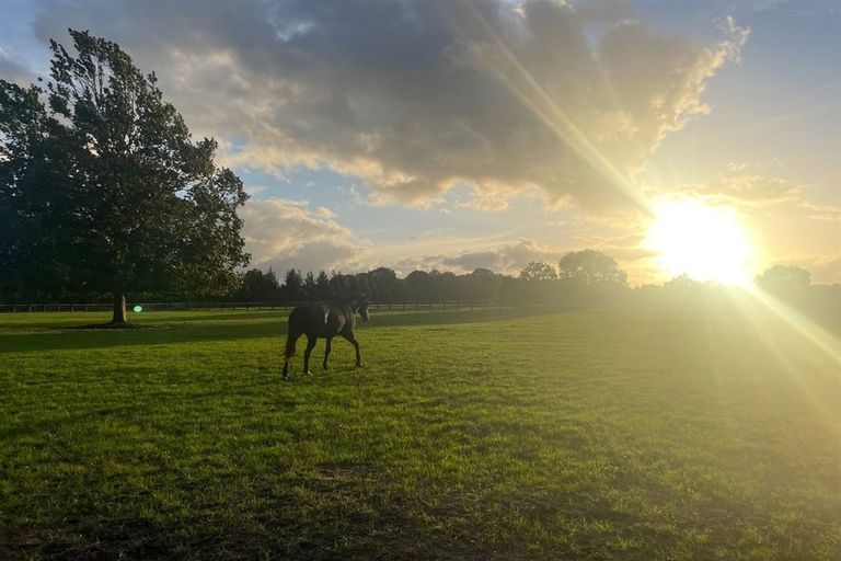 Photo of property in 353 Victoria Road, Pukemoremore, Cambridge, 3493