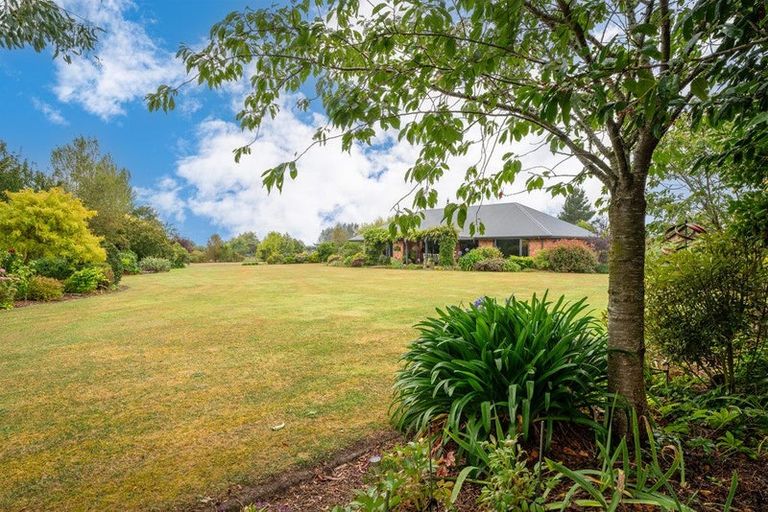 Photo of property in 335 Rosebrook Road, Claremont, Timaru, 7974