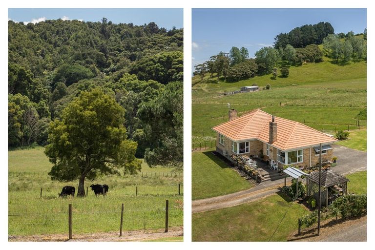 Photo of property in 141 Neavesville Road, Puriri, Thames, 3578